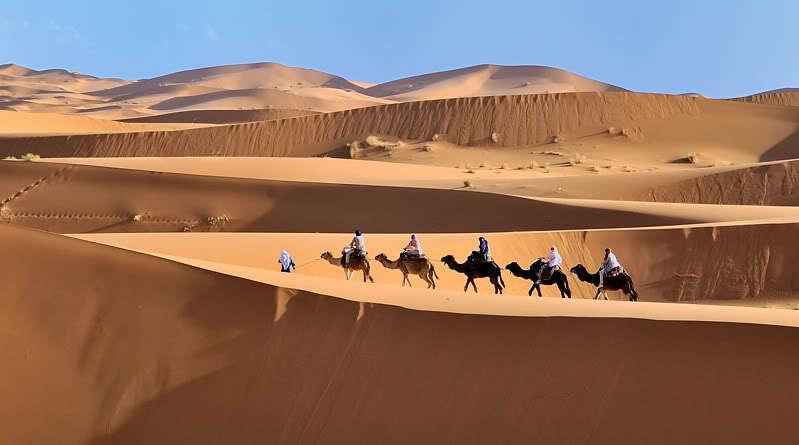Auberge Sahara Garden Lac Yasmins Dış mekan fotoğraf