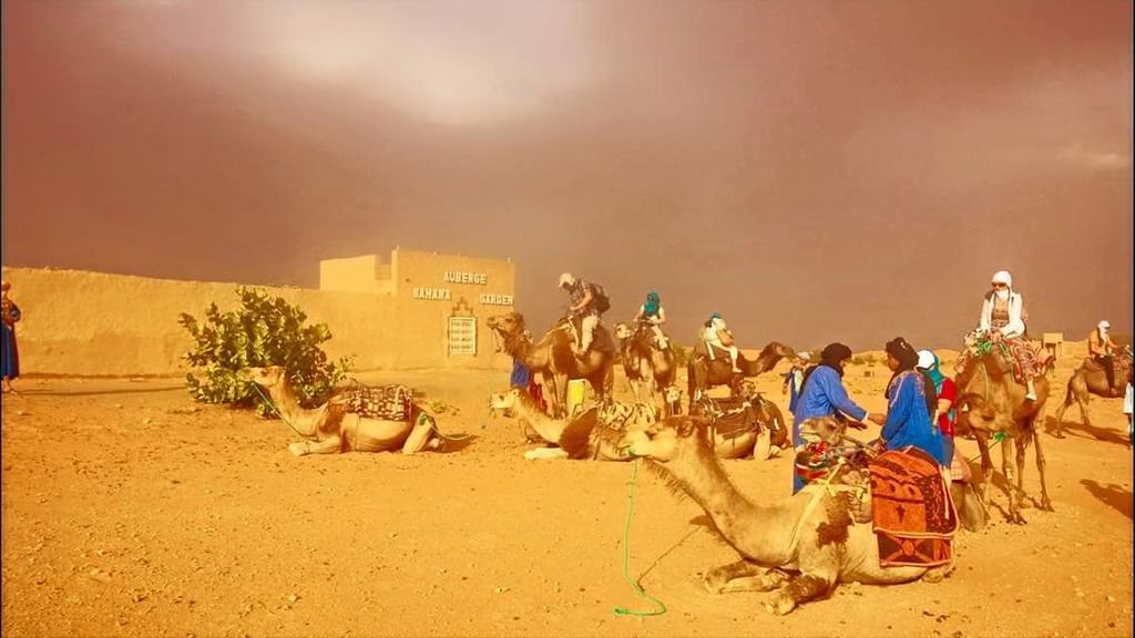Auberge Sahara Garden Lac Yasmins Dış mekan fotoğraf
